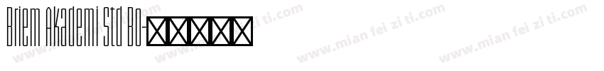 Briem Akademi Std Bo字体转换